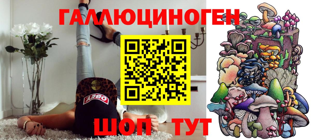 Псилоцибиновые грибы мухоморы Горно-Алтайск