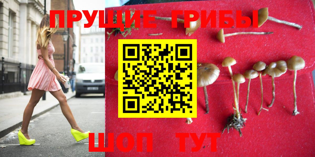 Горно-Алтайск  купить наркотик  Вход с VPN  Псилоцибиновые грибы Magic Shrooms 